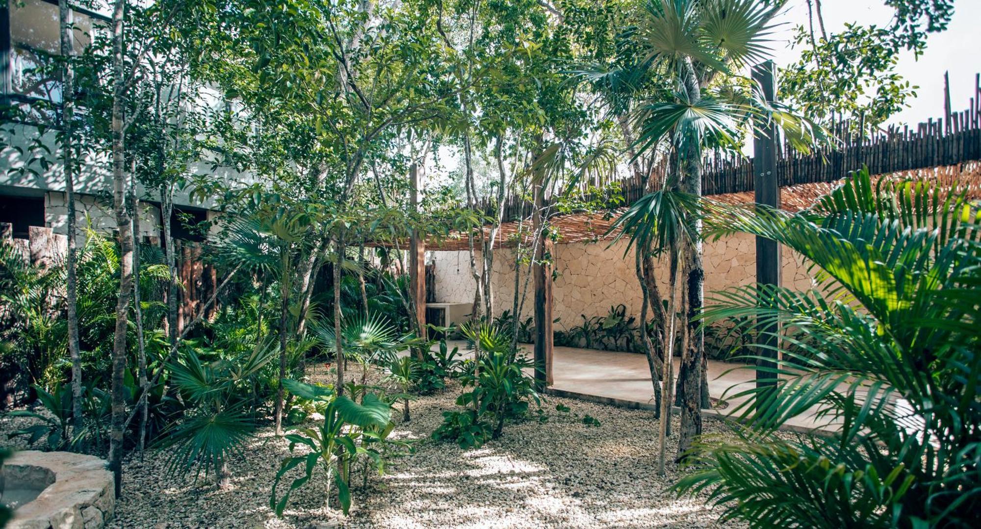 Luxury Jungle Villa-Pvt Pool -100Mbs- Concierge 8A Tulum Dış mekan fotoğraf